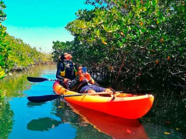 Los Mejores Tours con Baja Camping